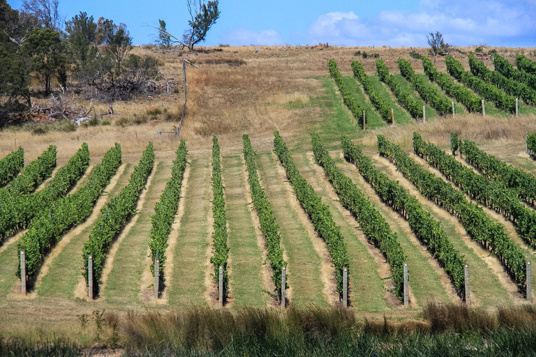 From Hobart: Coal River Valley Curated Winery Discovery From Hobart: Coal River Valley Private Wine Tour - 6 People