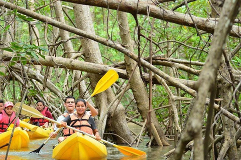 Zanzibar : excursion en kayak dans la forêt de mangrove et visite de la plage de PajeZanzibar : excursion en kayak dans la forêt de mangroves et visite de la plage de Paje