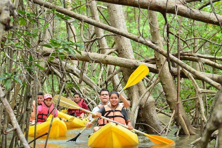 Zanzibar : excursion en kayak dans la forêt de mangrove et visite de la plage de PajeZanzibar : excursion en kayak dans la forêt de mangroves et visite de la plage de Paje