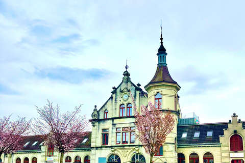 FREE PHOTO near Zurich Rapperswil: Castle, Rose Old Town FREE Photo add near Zurich Rapperswil walk Castle, Rose