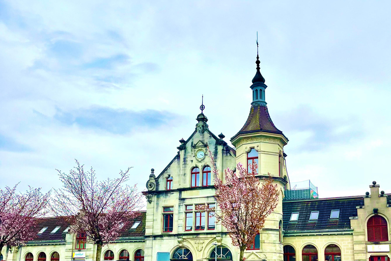 FREE PHOTO near Zurich Rapperswil: Castle, Rose Old Town FREE Photo add near Zurich Rapperswil walk Castle, Rose