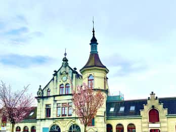PHOTO GRATUITE près de Zurich Rapperswil : château, vieille ville rose