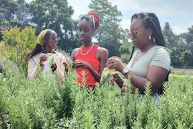 Nairobi: Gathoni Sensory Garden & Tea Farm Tour With Tasting