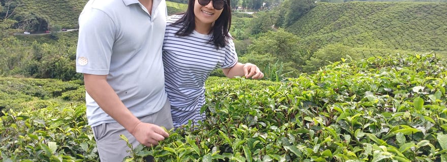 Ipoh : excursion privée à Cameron Highlands avec chauffeur