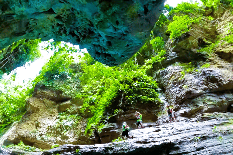 Cebu: Excursão de grupo a Oslob Whaleshark e Canyoneering com almoço