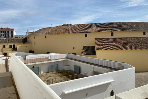 from Estepona, Marbella, Mijas: RONDA private tour incl. transportation and tapas