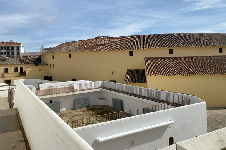 from Estepona, Marbella, Mijas: RONDA private tour incl. transportation and tapas