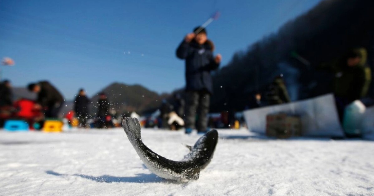 Seoul: Vivaldi Park - Snöigt land och isfiskefestival | GetYourGuide