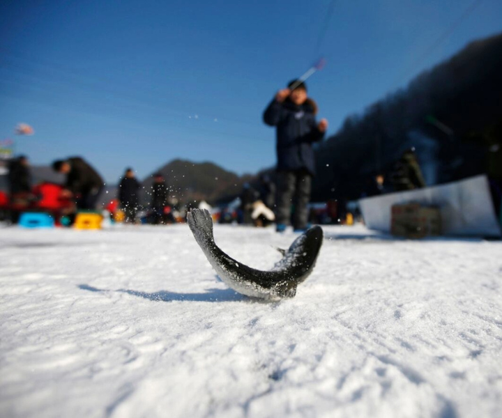 Seoul: Vivaldi Park - Snowy Land & Ice Fishing Festival
