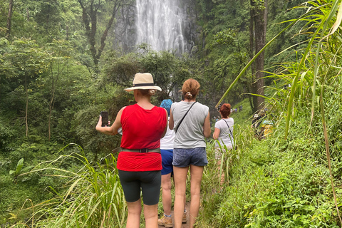 恩戈罗恩戈罗至吉力马扎罗山麓2日经济之旅恩戈罗恩戈罗至马特鲁尼和咖啡之旅（2 天经济之旅）