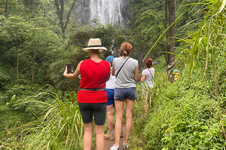 恩戈罗恩戈罗至吉力马扎罗山麓2日经济之旅恩戈罗恩戈罗至马特鲁尼和咖啡之旅（2 天经济之旅）