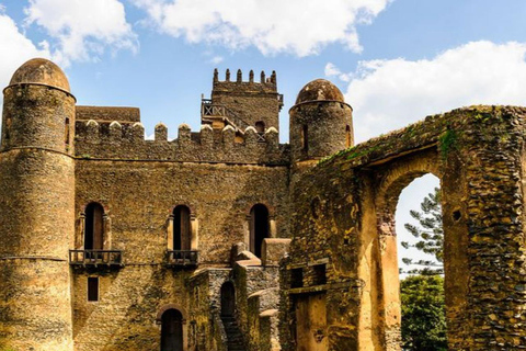 Ethiopia: 5-Day Ultimate Safari Expedition Guided Tour