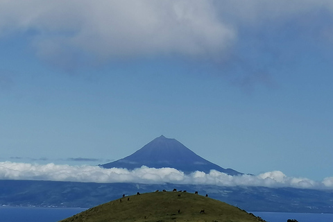 São Jorge Island Tour mit Schnorchel- und Wanderoptionen