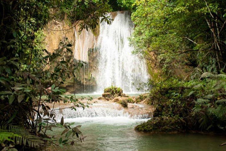 Punta Cana: Excursión de un día a Samaná con Cascada e Isla Bacardí