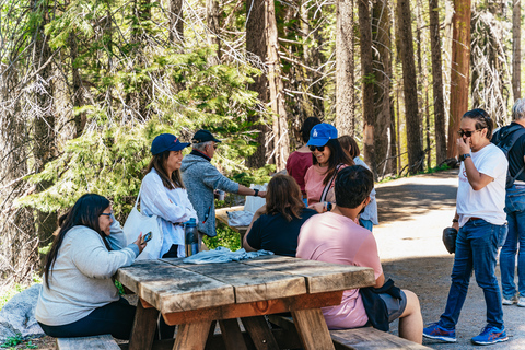 San Francisco: Yosemite National Park & Giant Sequoias Hike Shared Tour with French Audio Guide