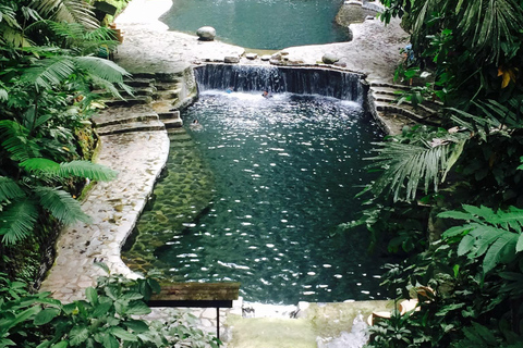 Laguna : excursion d&#039;une journée à Hidden Valley Springs avec déjeuner depuis MANILA