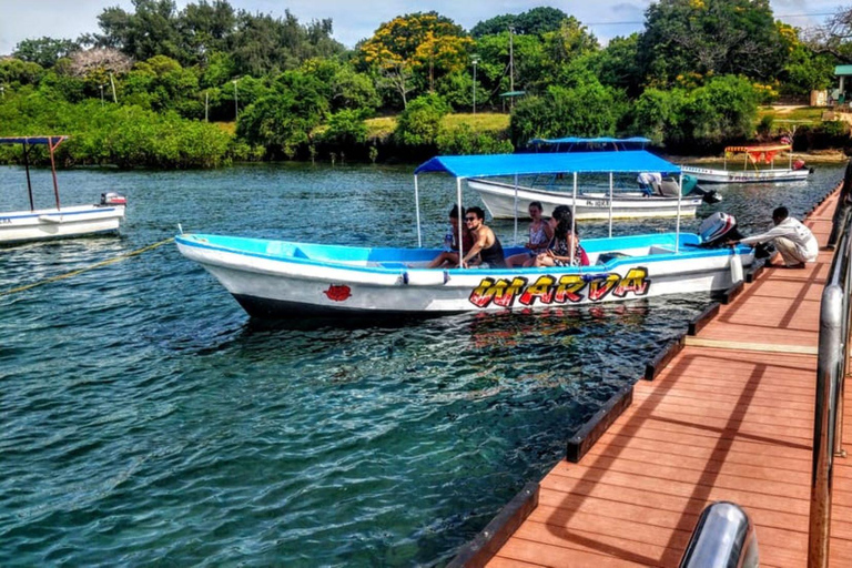 迪亚尼：Kisite 私人游船之旅（含浮潜和午餐）团体加入浮潜活动