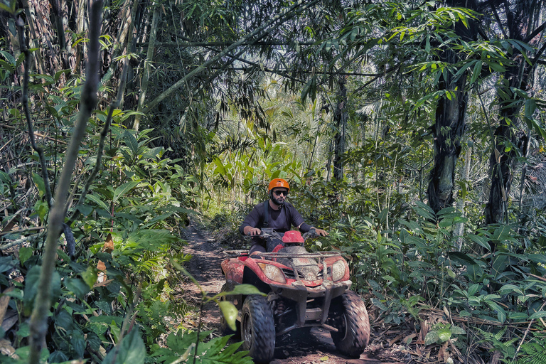 Ubud: Gorilla Face-quad, jungleschommel, waterval en maaltijdTandemrit met Bali Transfers