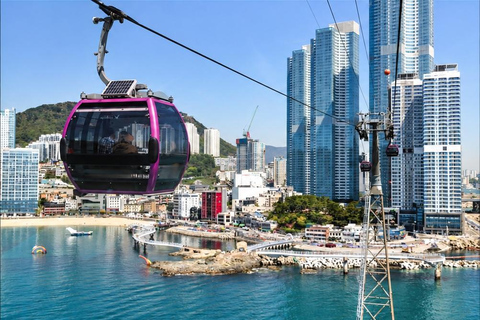 Busan: Private Tour, 3 Included Experiences & 3 Iconic Spots Private Tour | 4–8 Guests