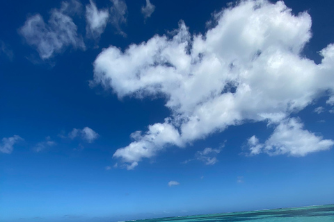 Eco-vriendelijke dolfijnentour in Mauritius Le MorneEco-vriendelijke dolfijnentocht op Mauritius Le Morne, Ma