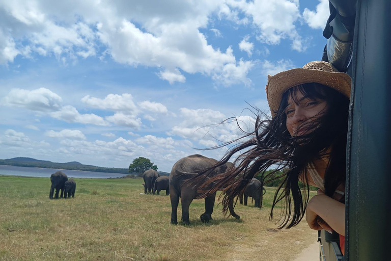 Desde Dambulla: Fortaleza de la Roca de Sigiriya y Safari en Minneriya