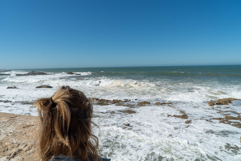 From Marrakech: Essaouira Day Trip with Beach & Medina Essaouira Small Group Day Trip