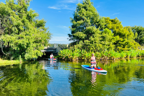 Orlando: Urban Clear Kayak or Paddleboard in Paradise Urban Paddle Tour