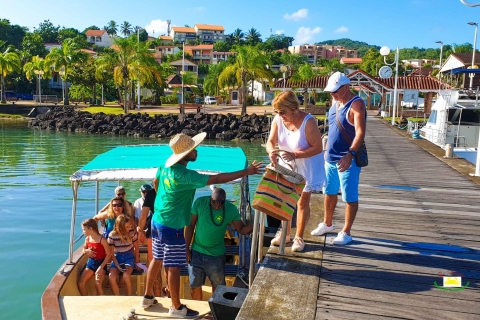Martinique: Mangroven-Bootstour ab Les Trois-Îlets(Kopie von) champ spécial
