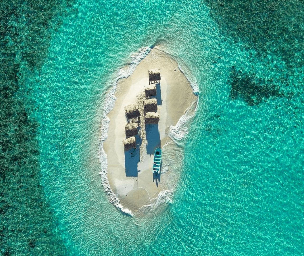 Santo Domingo: Ganztagestour zur Paradiesinsel - Cayo Arena