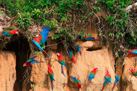 Avventura di 3 giorni nella foresta amazzonica