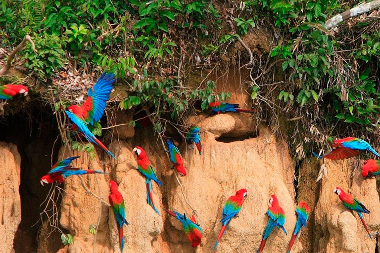 Avventura di 3 giorni nella foresta amazzonica