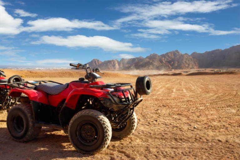 Sharm : Desert Adventures ATV, Buggy, Horse Ride & Camel RideSharm : VTT, buggy, balade à cheval et à dos de chameau avec petit déjeuner.