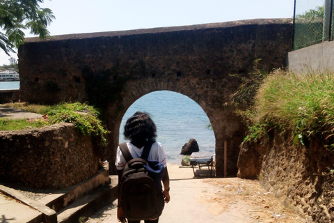 Mombasa: Tour guidato del centro storico e del parco HallerTour pomeridiani