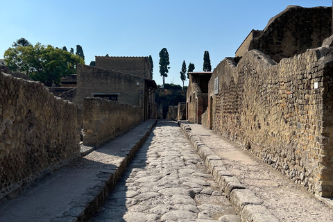 Pompei Guided Tour in Shared FormulaSommer Rate