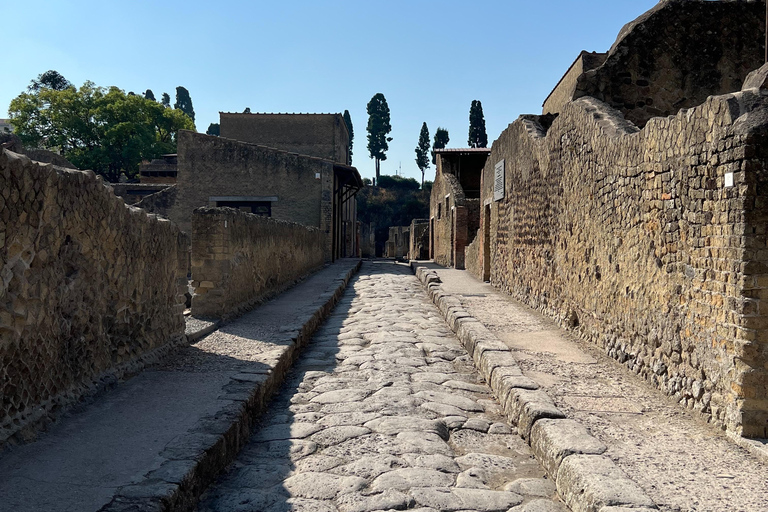 Pompei Guided Tour in Shared FormulaSommer Rate