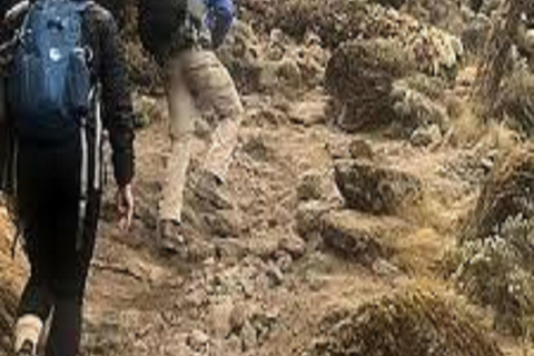 Kilimanjaro: 6-Day Trekking Umbwe Route