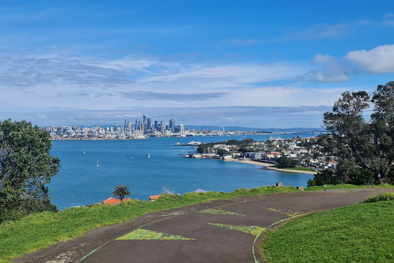 Tour di un giorno intero dei punti salienti della città di Auckland