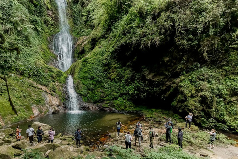 From Kigali: Nyungwe Park Waterfall Hike, Canopy & Zipline
