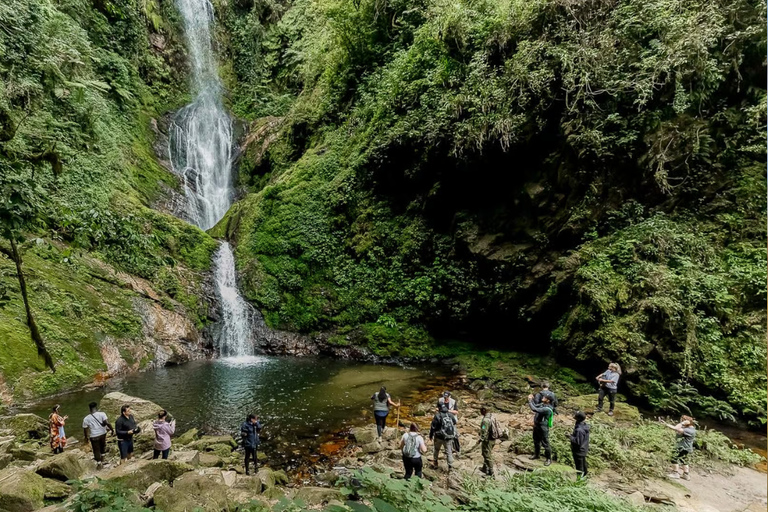 From Kigali: Nyungwe Park Waterfall Hike, Canopy & Zipline