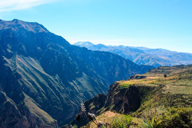 Escursione di 1 giorno al Canyon del Colca + sorgenti termali