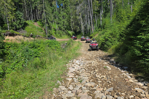 Zakopane: Snowmobile, Quad, or Buggy Tatra Mountains Tour