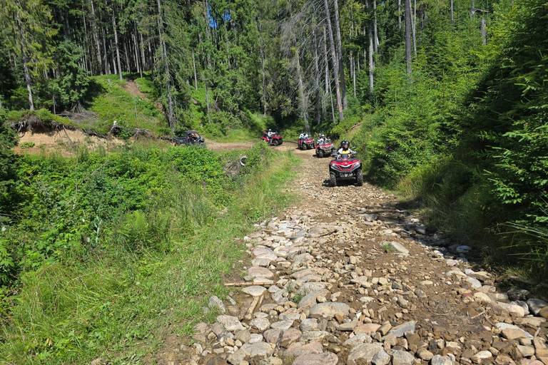 Zakopane: Snowmobile, Quad, or Buggy Tatra Mountains Tour