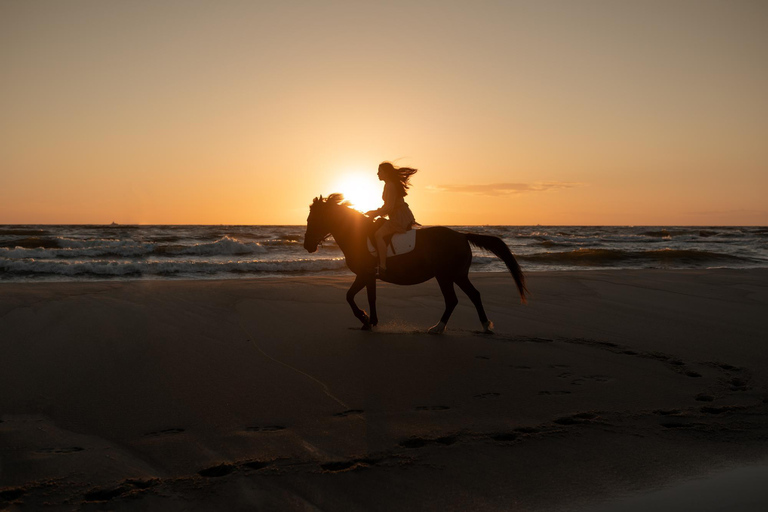 Corfu: Beachside Horseback Ride with Coastal Views Corfu: Sunset Beachside Horseback Ride with Coastal Views