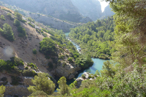 From Fuengirola: Caminito del Rey Guided Day Trip From Fuengirola