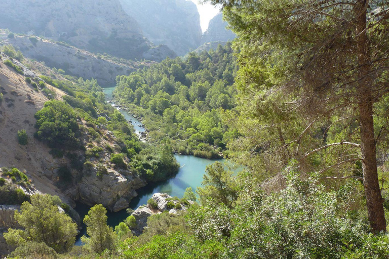 From Fuengirola: Caminito del Rey Guided Day Trip From Fuengirola