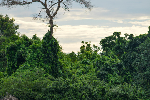 Von Sansibar aus: Selous G.R. Safari mit Übernachtung und Flügengemeinsame Safari