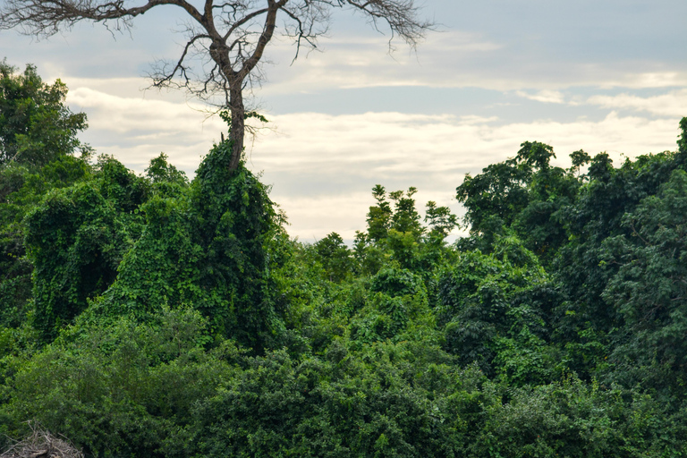 Depuis Zanzibar : Safari de nuit dans le Selous G.R. avec volssafari partagé