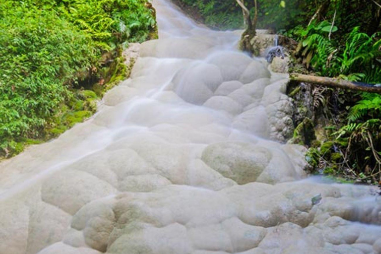 Doi Suthep Tempel, Orchideeën Hoeve &amp; Kleverige Waterval met Lunch