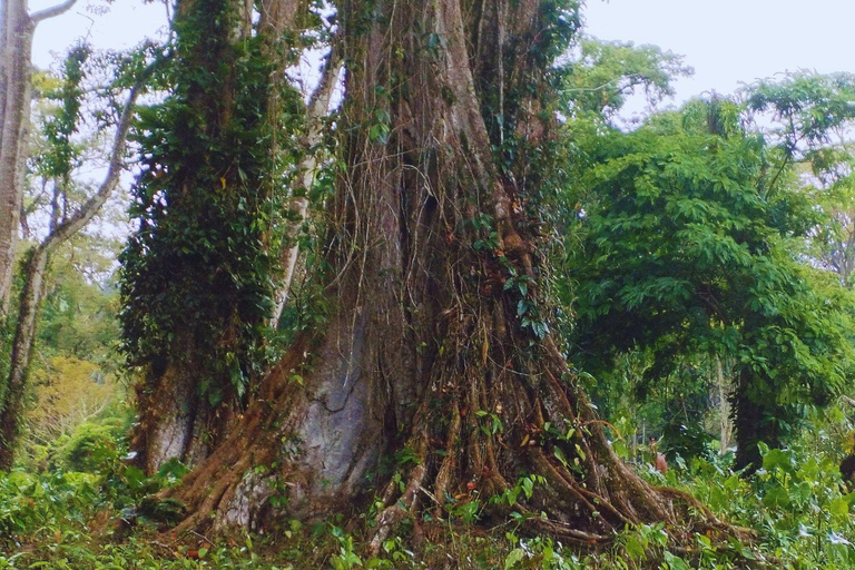 Private Kayaking Adventure: a 2-hour Wildlife Escape Self-Guided Kayaking Adventure: a 2-hour Wildlife Escape