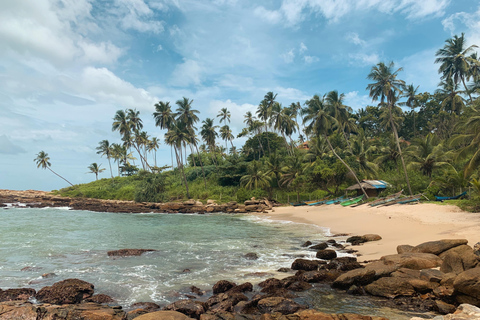 Sri Lanka: Recorrido de 4 días por la vida salvaje y la playa